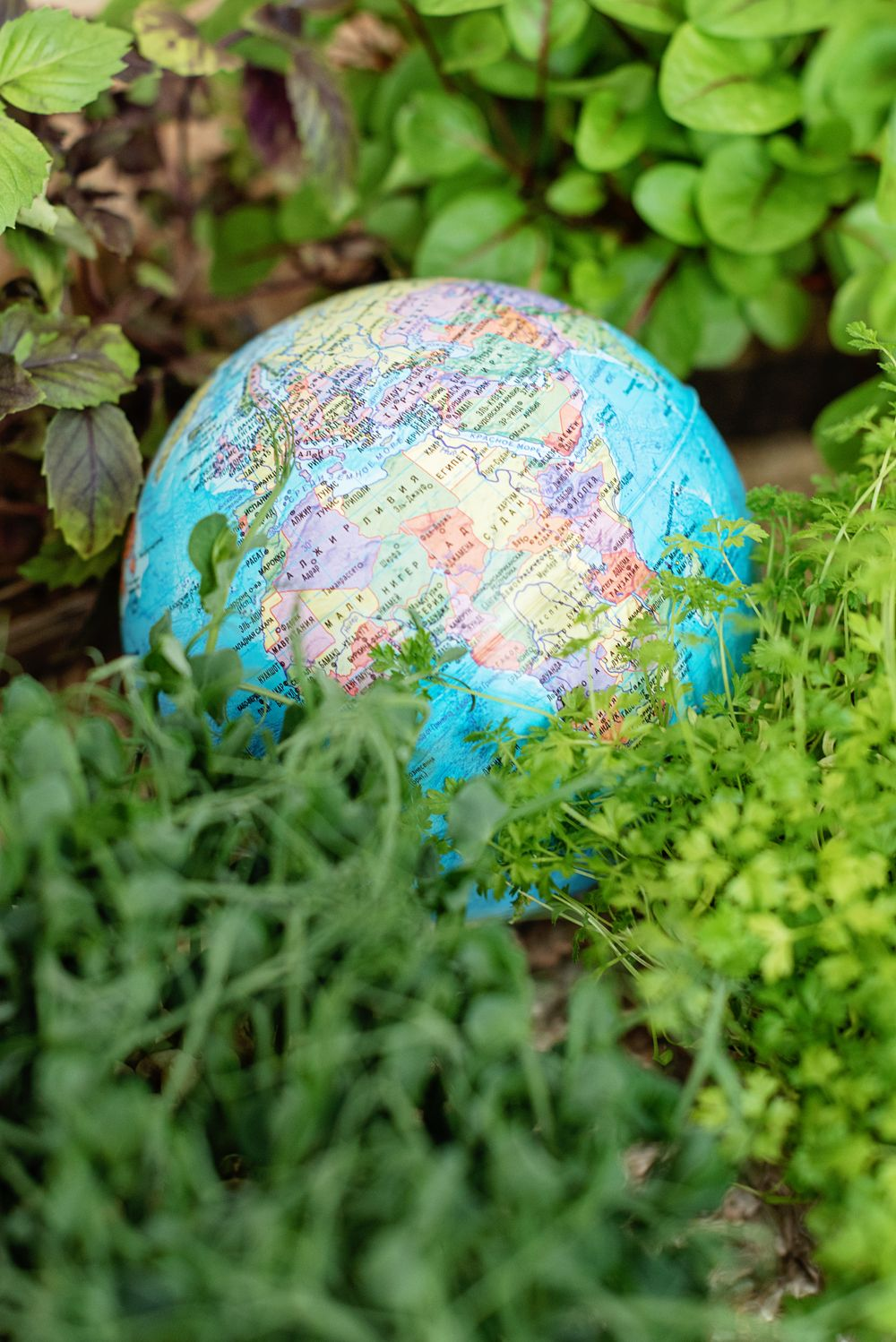 A globe among green plants, symbolising sustainable materials